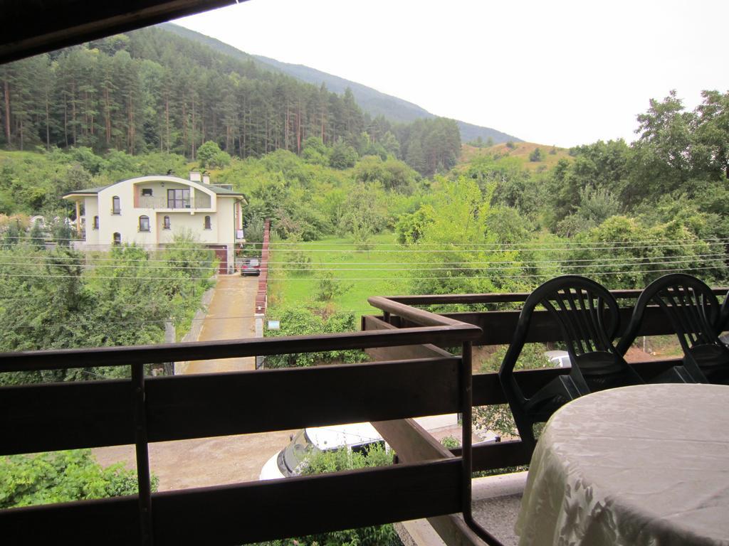 Slavina Guest House Sapareva Banya Εξωτερικό φωτογραφία