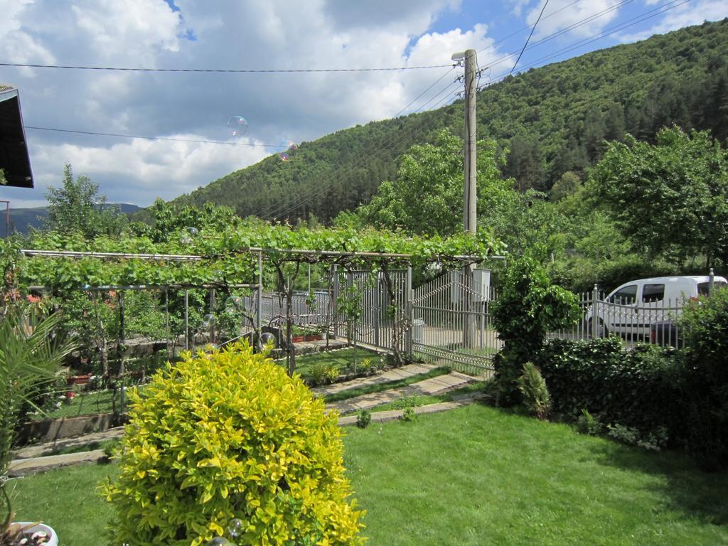 Slavina Guest House Sapareva Banya Εξωτερικό φωτογραφία